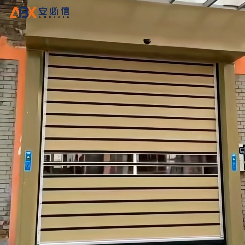 拉萨感应高速门
